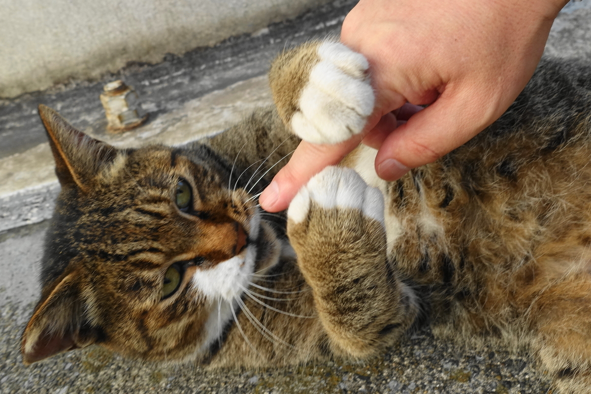 f:id:shigeo-t:20190912105257j:plain