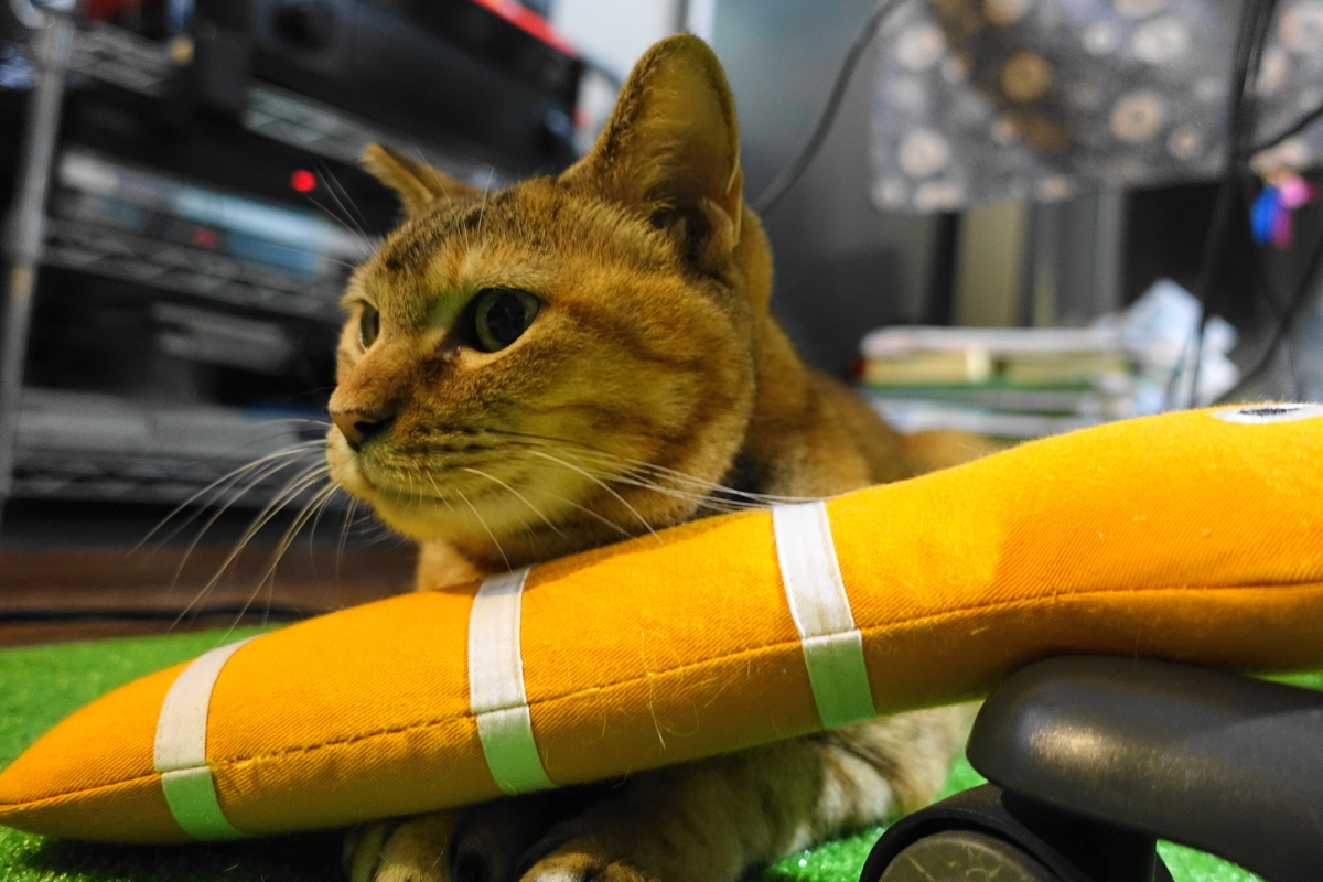 f:id:shigeo-t:20190923103029j:plain f:id:shigeo-t:20190923103029j:plain