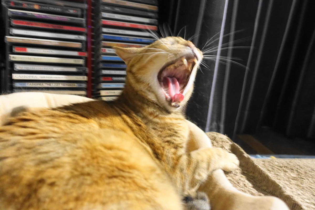 f:id:shigeo-t:20190923105220j:plain f:id:shigeo-t:20190923105220j:plain