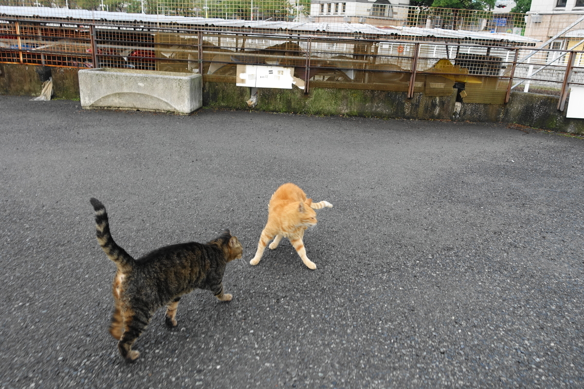 f:id:shigeo-t:20191020094507j:plain