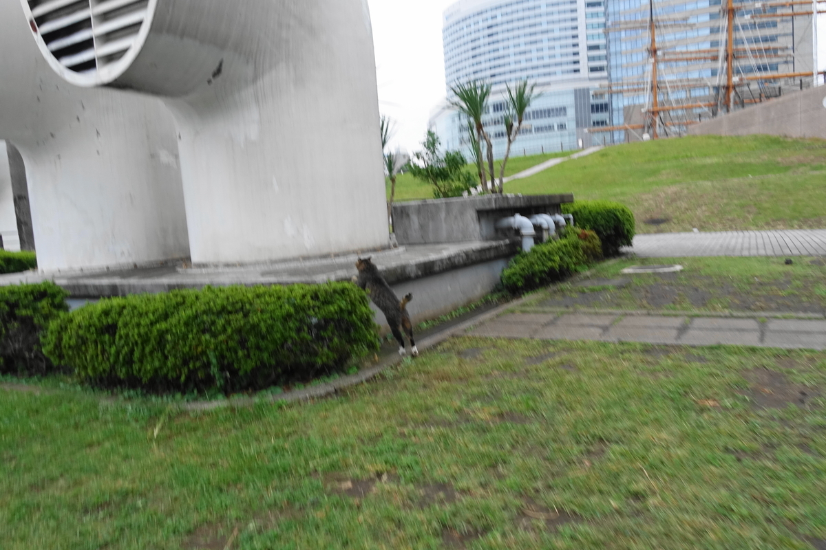 f:id:shigeo-t:20191020102809j:plain f:id:shigeo-t:20191020102809j:plain