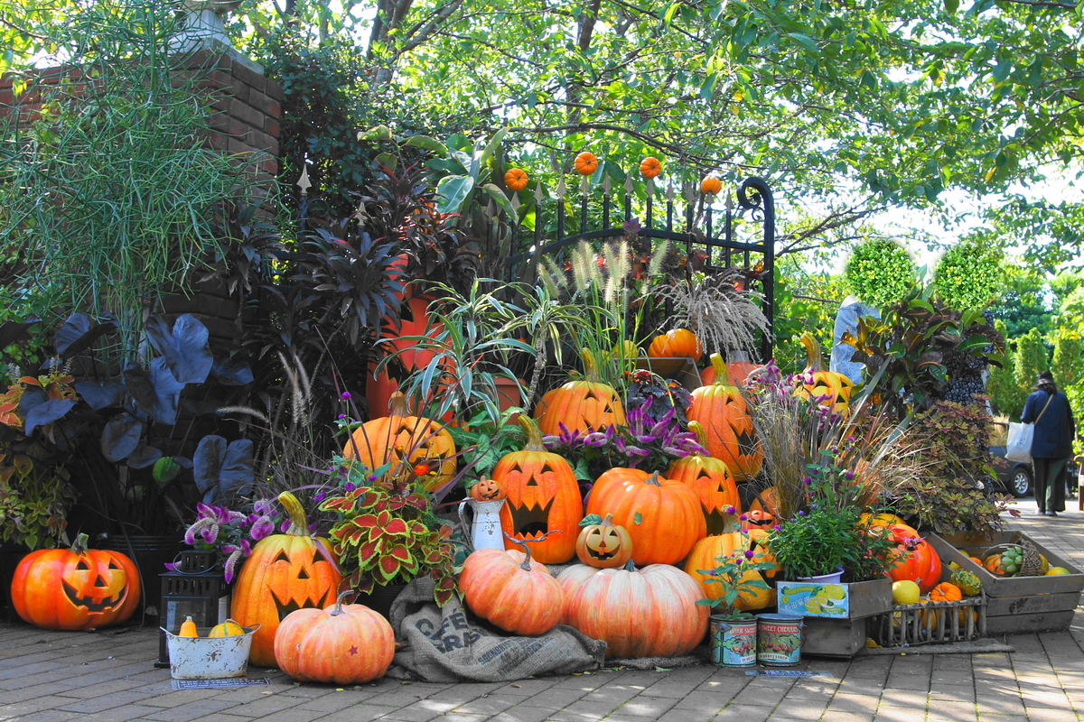 f:id:shigeo-t:20191023135714j:plain f:id:shigeo-t:20191023135714j:plain