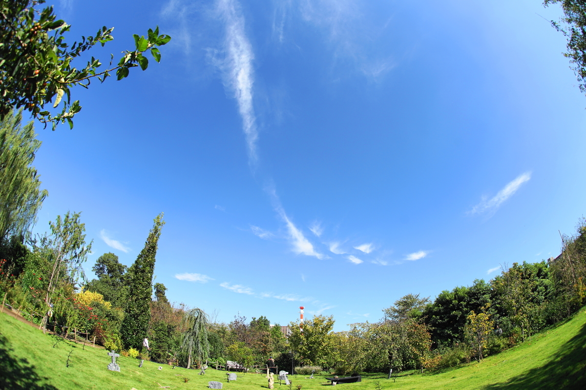 f:id:shigeo-t:20191023140148j:plain f:id:shigeo-t:20191023140148j:plain