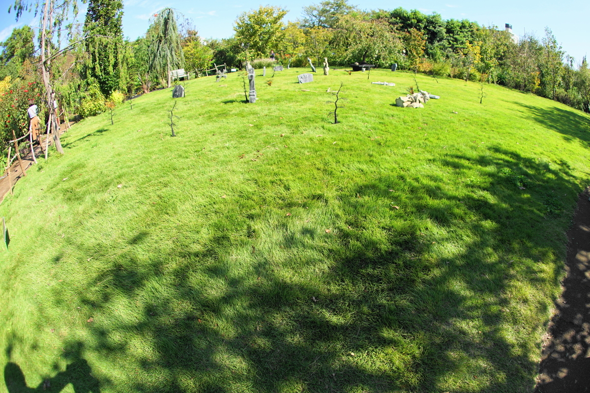 f:id:shigeo-t:20191023140646j:plain f:id:shigeo-t:20191023140646j:plain