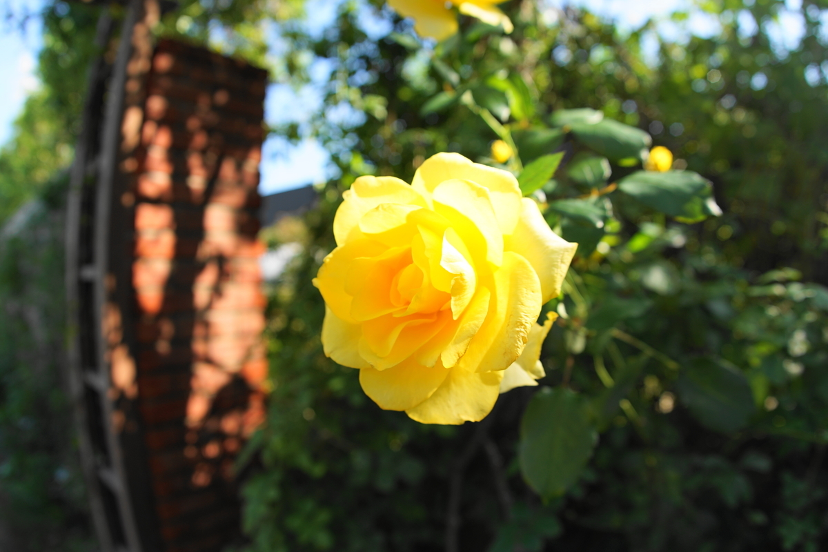 f:id:shigeo-t:20191023140900j:plain f:id:shigeo-t:20191023140900j:plain