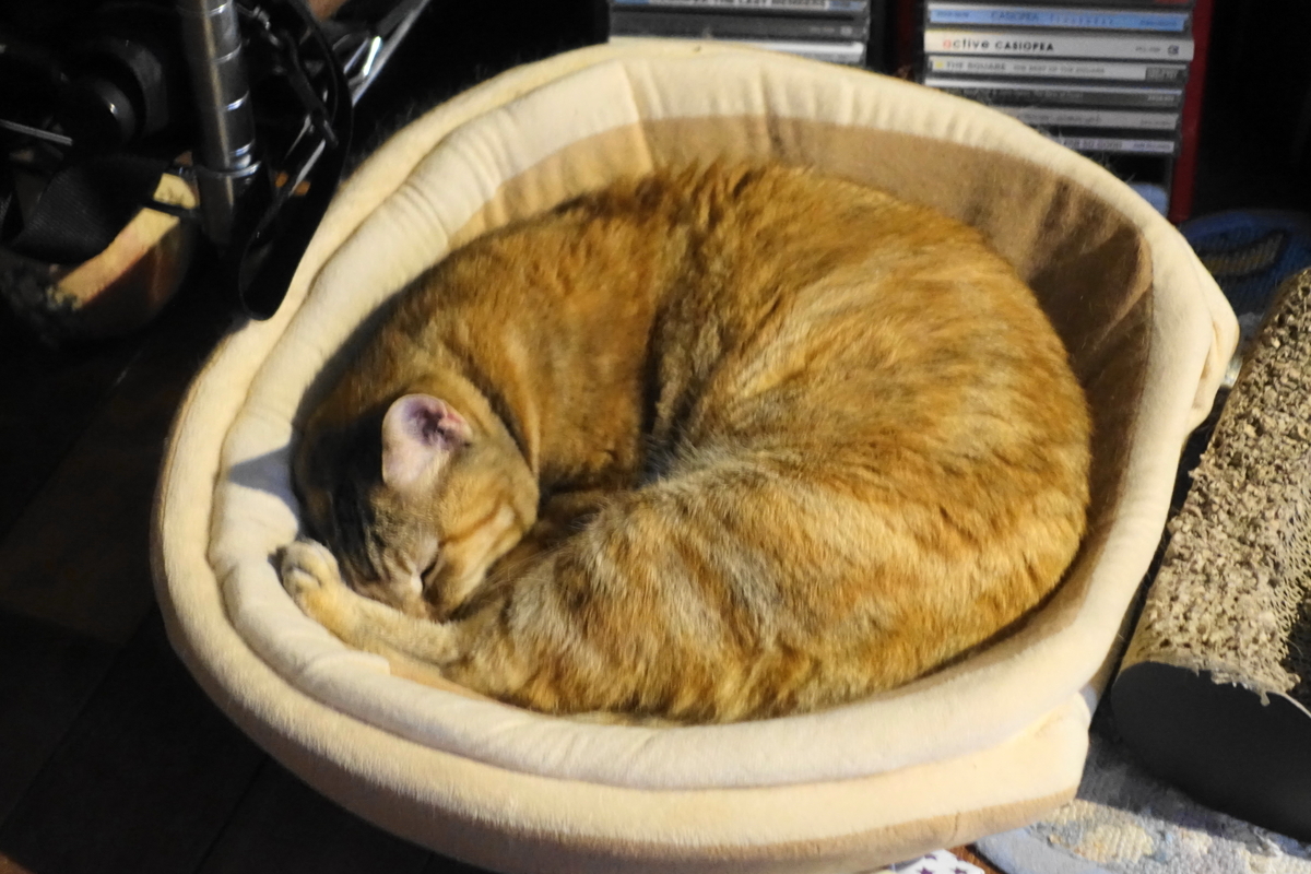 f:id:shigeo-t:20191024111651j:plain f:id:shigeo-t:20191024111651j:plain