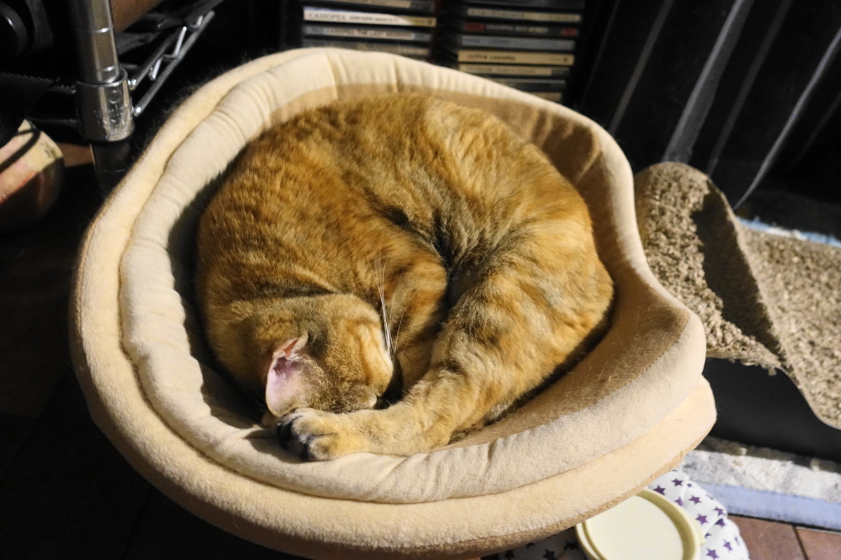 f:id:shigeo-t:20191024111712j:plain f:id:shigeo-t:20191024111712j:plain