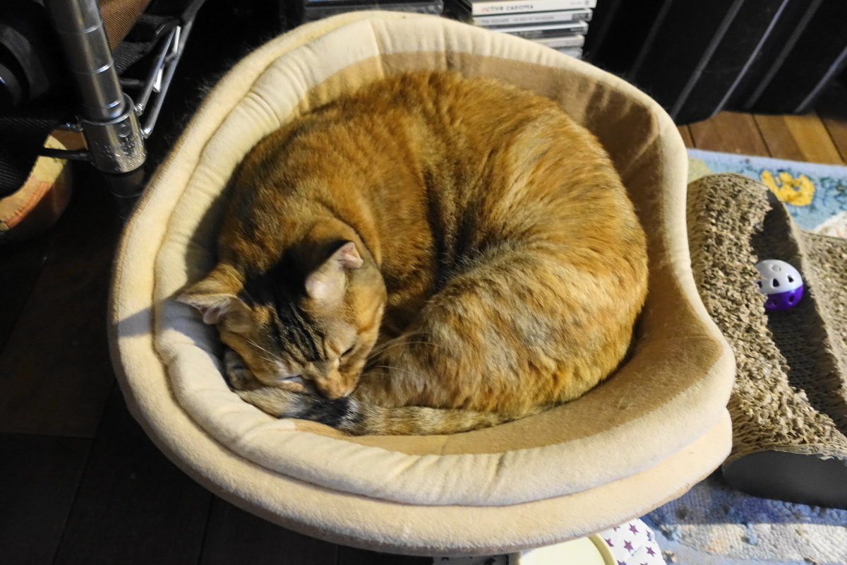 f:id:shigeo-t:20191024111739j:plain f:id:shigeo-t:20191024111739j:plain