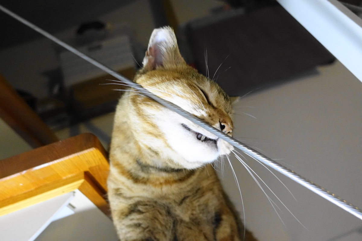 f:id:shigeo-t:20191024112848j:plain f:id:shigeo-t:20191024112848j:plain