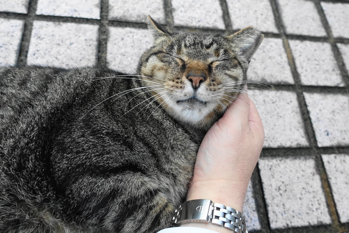 f:id:shigeo-t:20191028101034j:plain