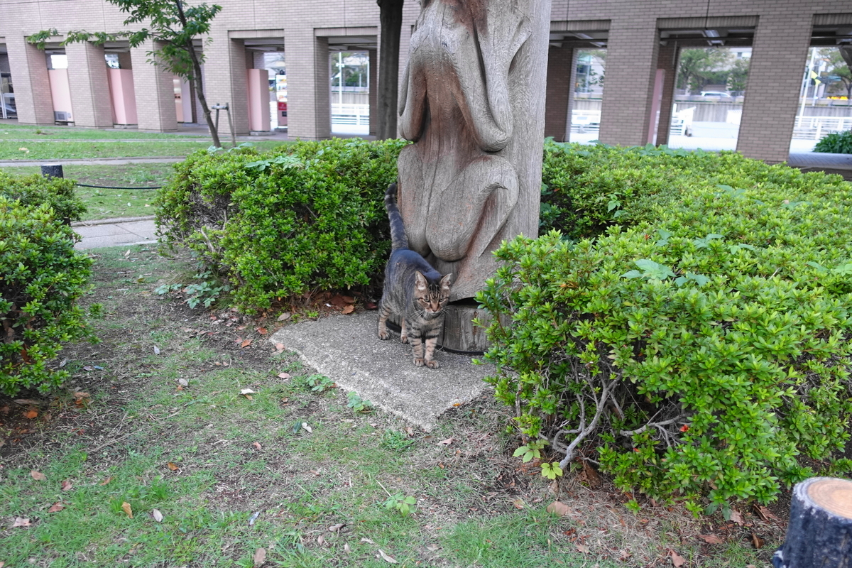 f:id:shigeo-t:20191031093736j:plain f:id:shigeo-t:20191031093736j:plain