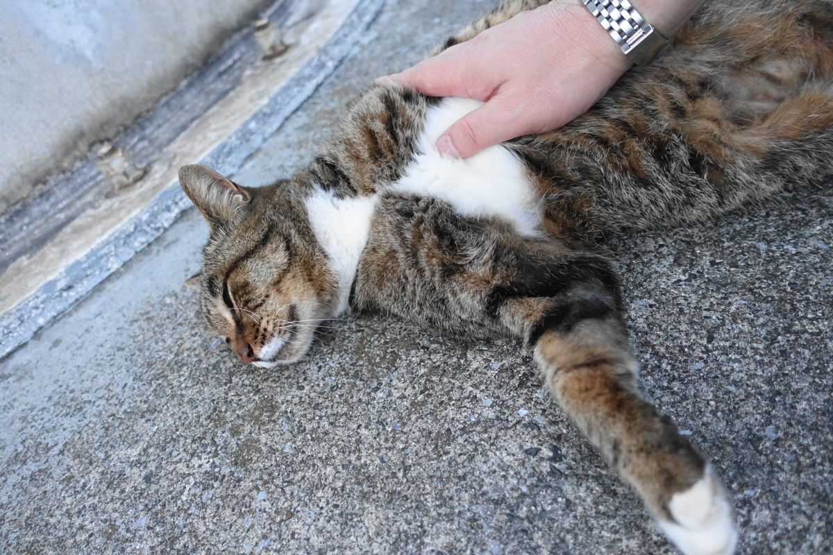 f:id:shigeo-t:20191031100459j:plain f:id:shigeo-t:20191031100459j:plain