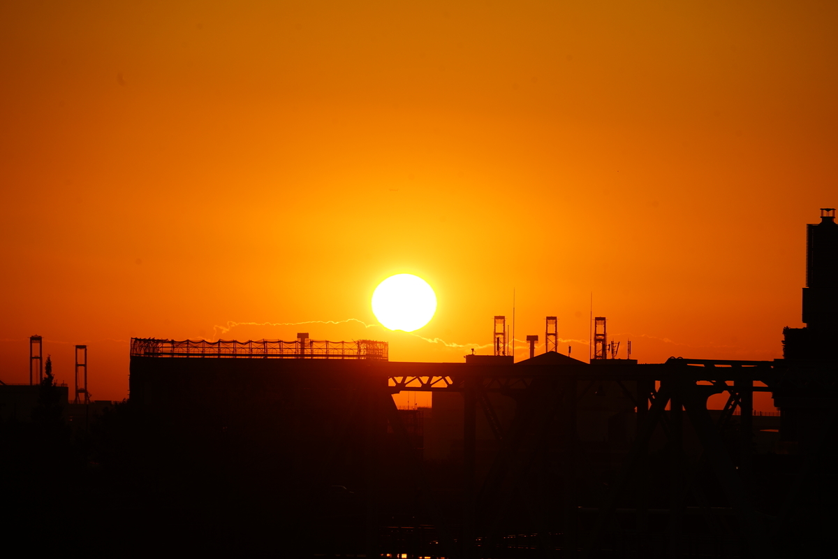 f:id:shigeo-t:20191113104643j:plain f:id:shigeo-t:20191113104643j:plain