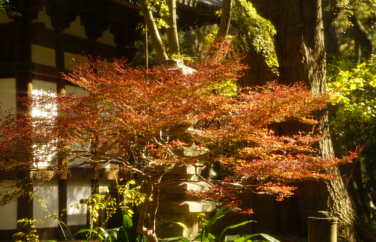 f:id:shigeo-t:20191130142337p:plain f:id:shigeo-t:20191130142337p:plain