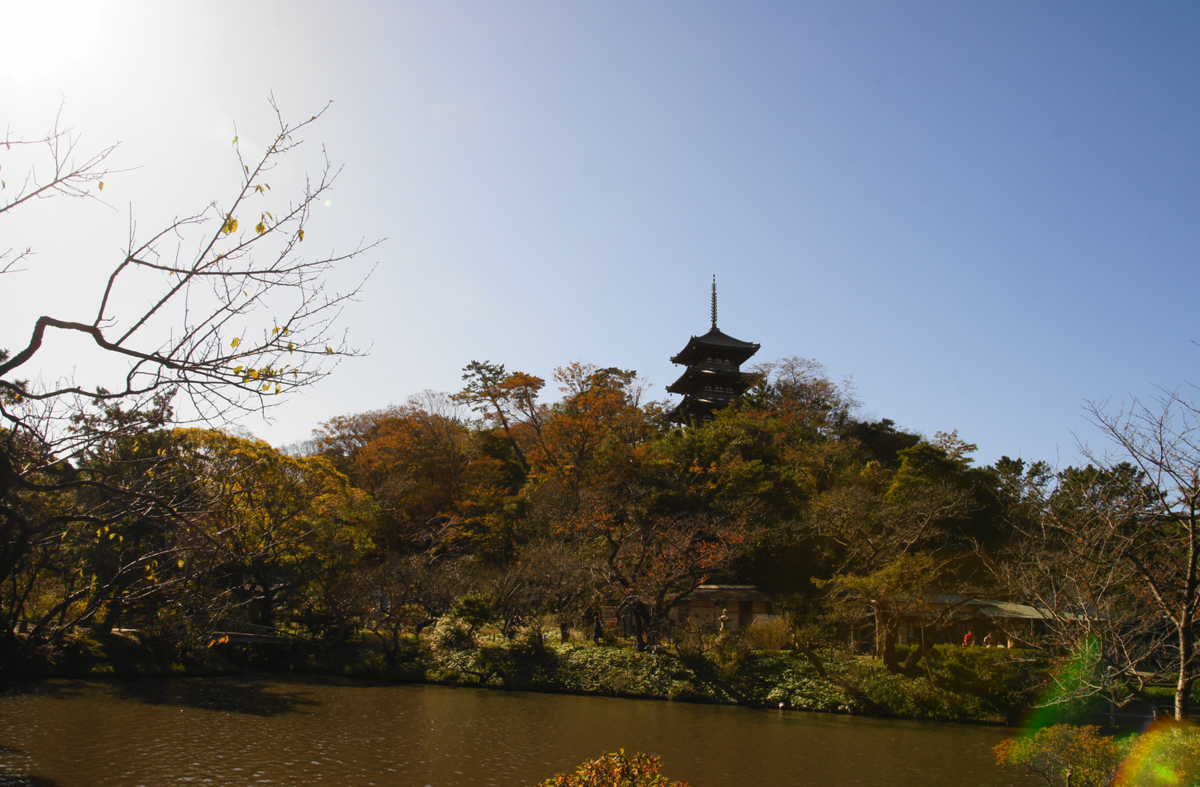 f:id:shigeo-t:20191130143405p:plain f:id:shigeo-t:20191130143405p:plain