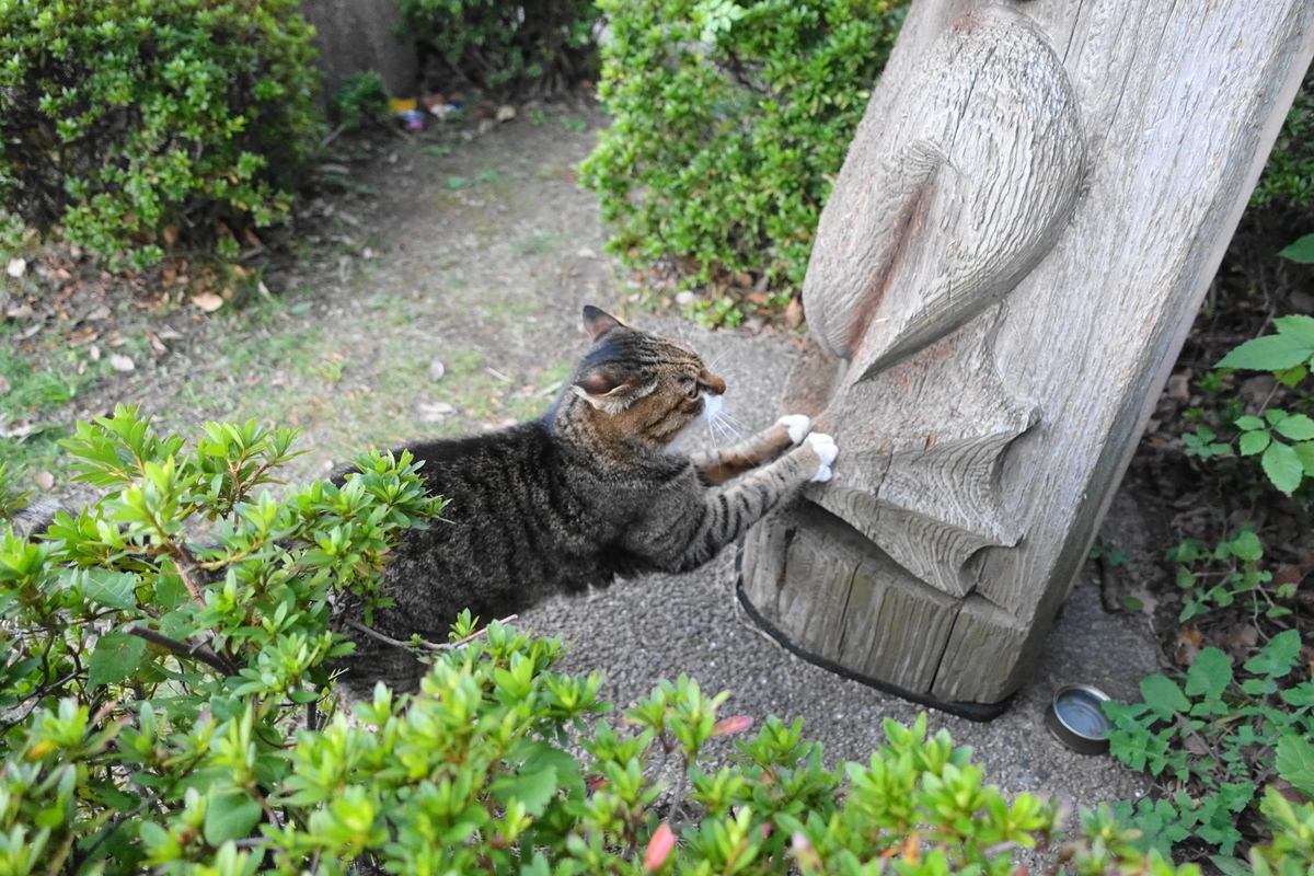 f:id:shigeo-t:20191202103837j:plain f:id:shigeo-t:20191202103837j:plain