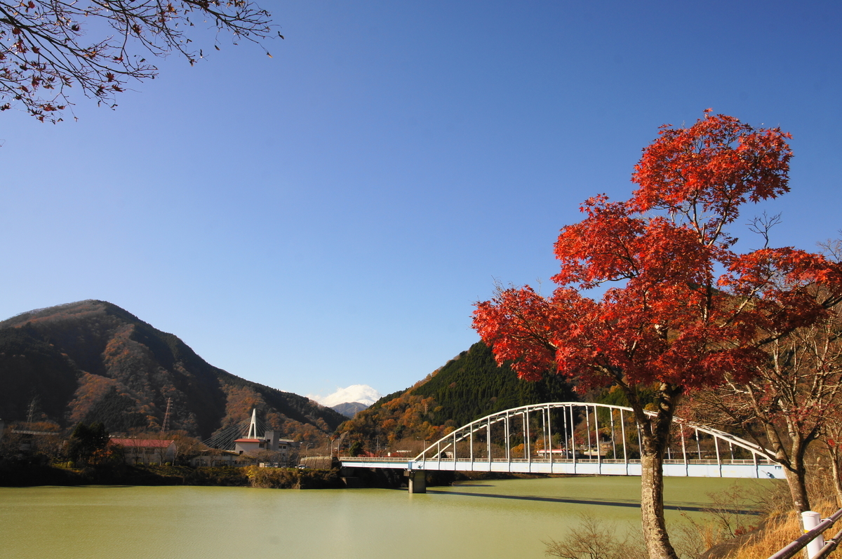 f:id:shigeo-t:20191204142356j:plain