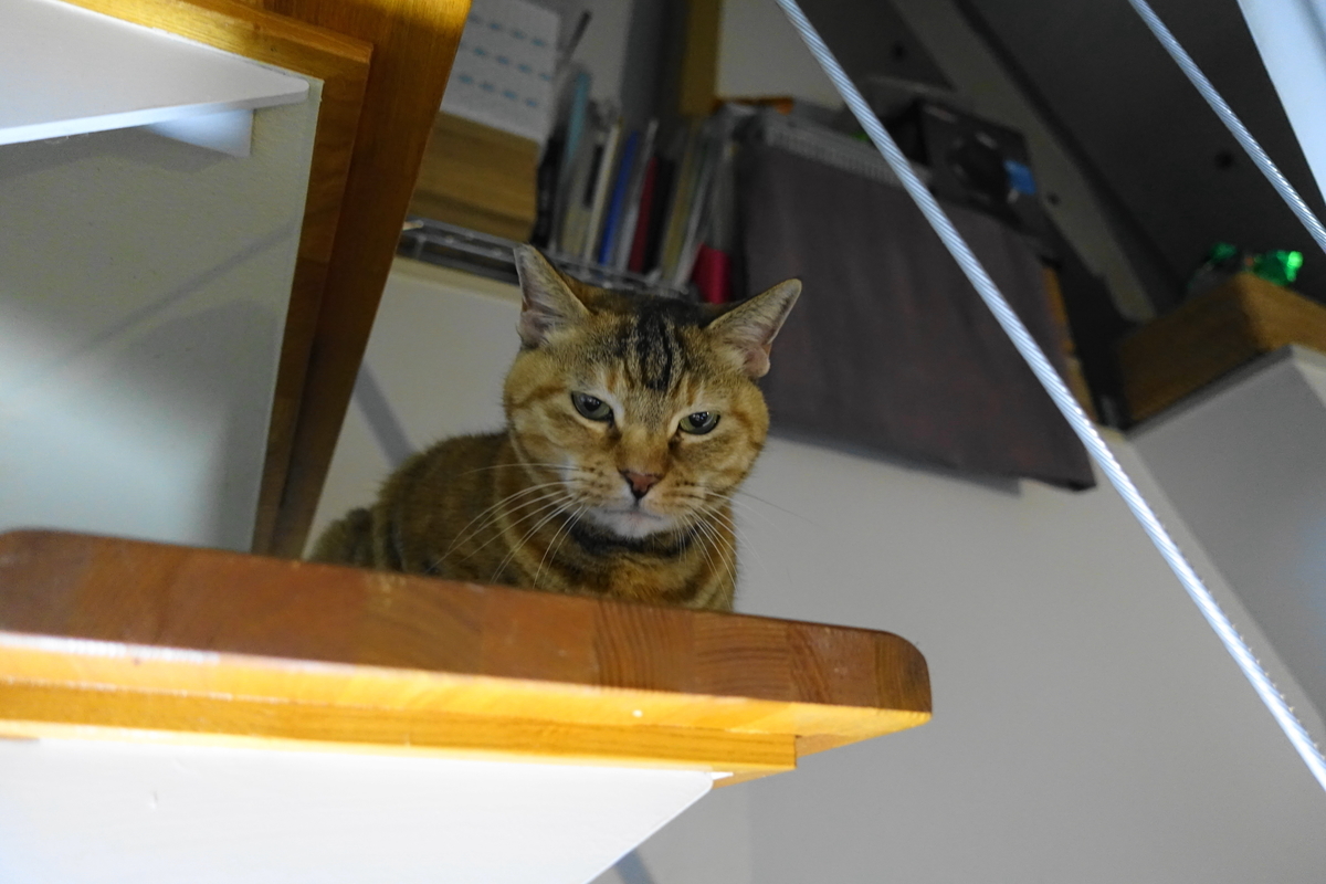 f:id:shigeo-t:20191212121838j:plain