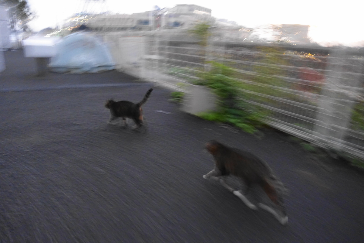 f:id:shigeo-t:20191215095729j:plain