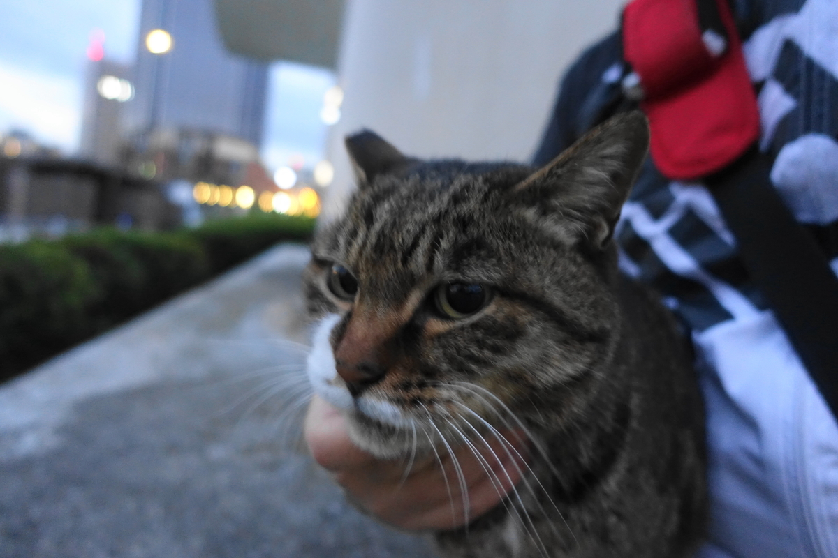 f:id:shigeo-t:20191216100048j:plain f:id:shigeo-t:20191216100048j:plain