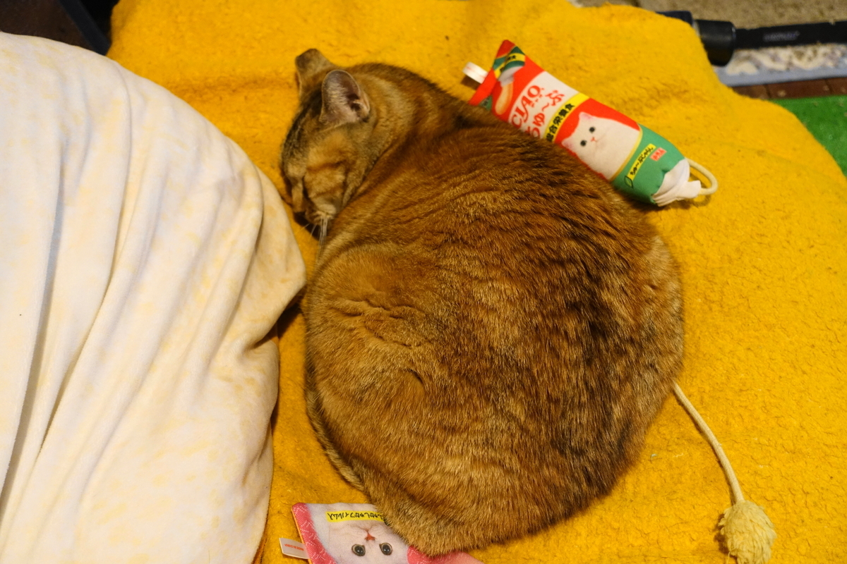 f:id:shigeo-t:20191225152005j:plain f:id:shigeo-t:20191225152005j:plain