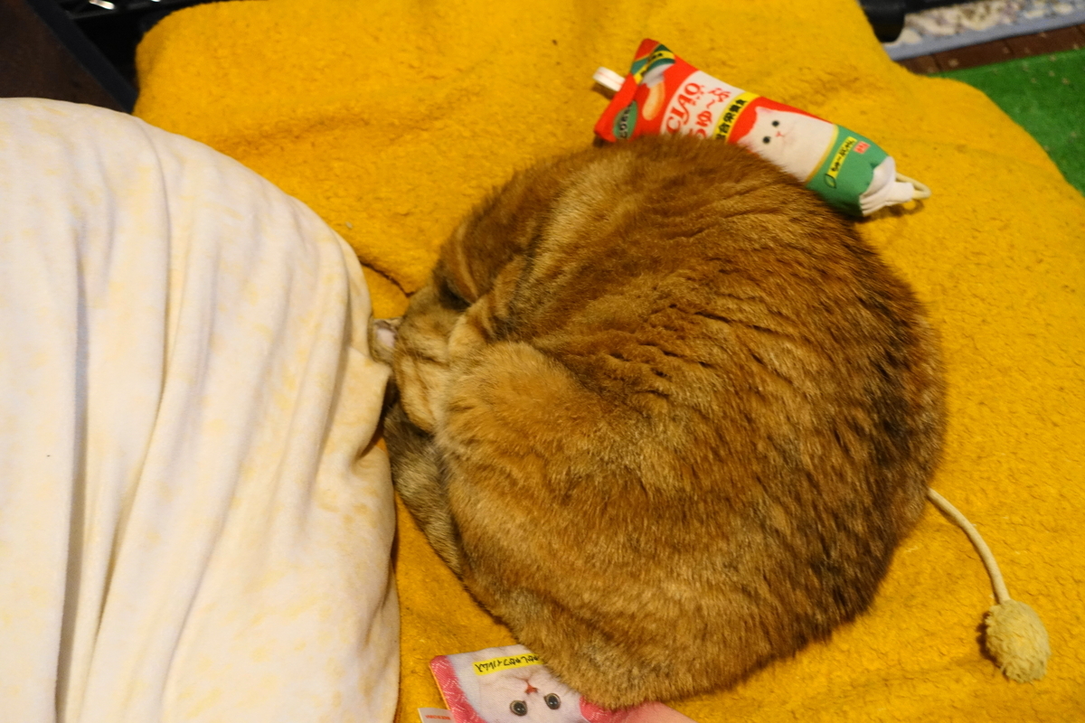 f:id:shigeo-t:20191225152017j:plain f:id:shigeo-t:20191225152017j:plain