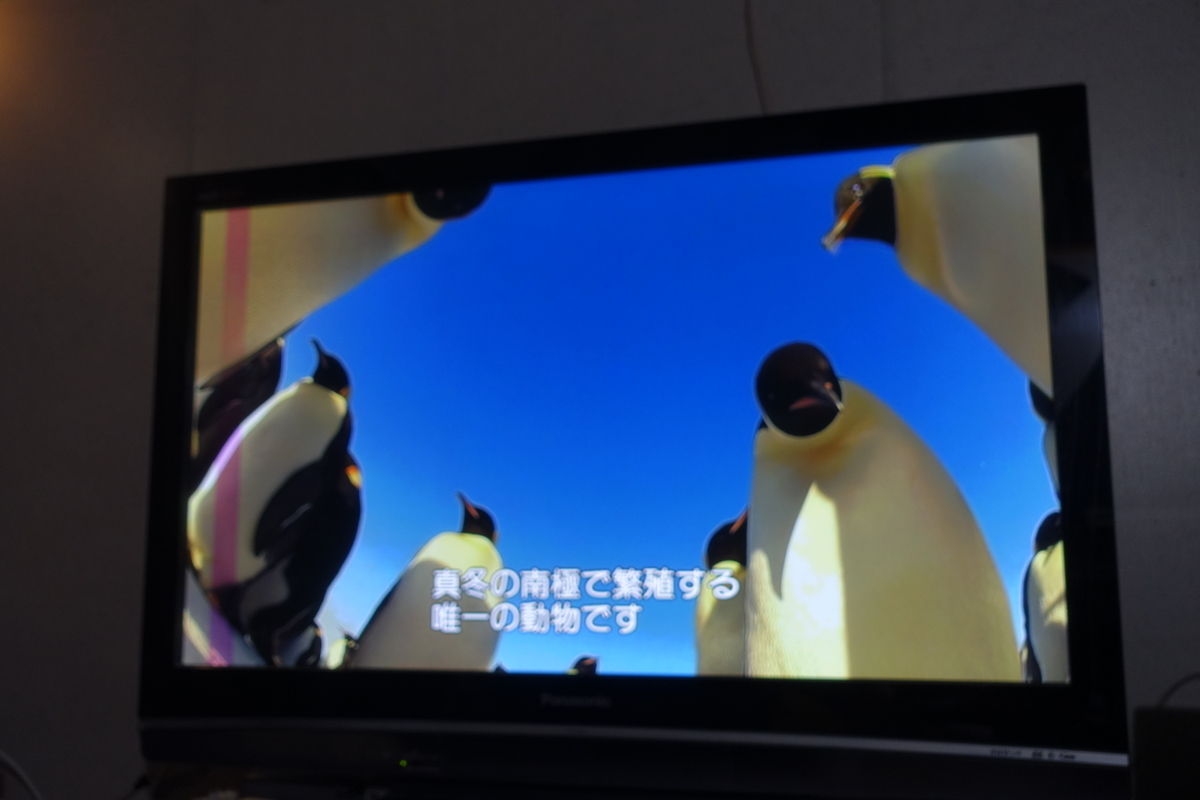 f:id:shigeo-t:20200111120109j:plain f:id:shigeo-t:20200111120109j:plain