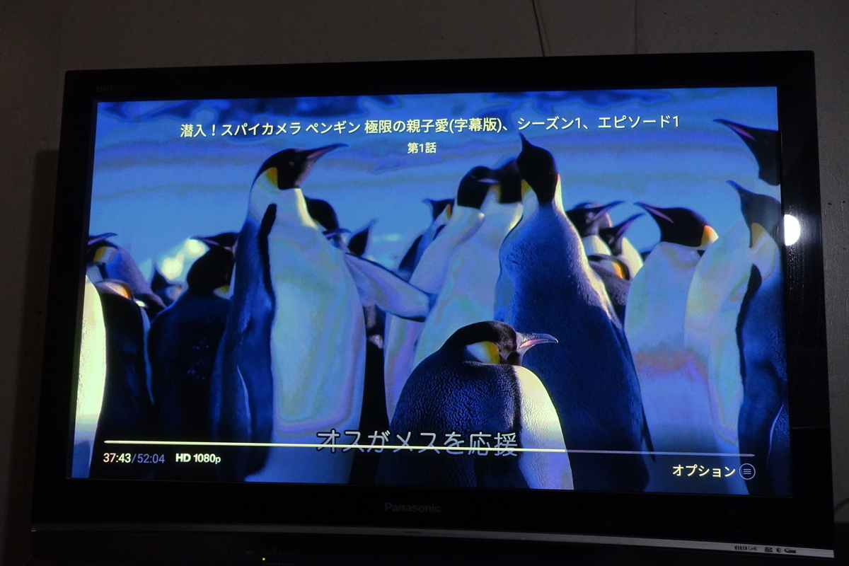 f:id:shigeo-t:20200111120123j:plain f:id:shigeo-t:20200111120123j:plain