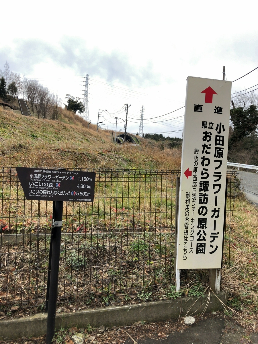 f:id:shigeo-t:20200215150344j:plain f:id:shigeo-t:20200215150344j:plain