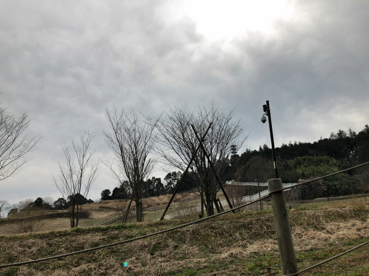 f:id:shigeo-t:20200215150609j:plain f:id:shigeo-t:20200215150609j:plain
