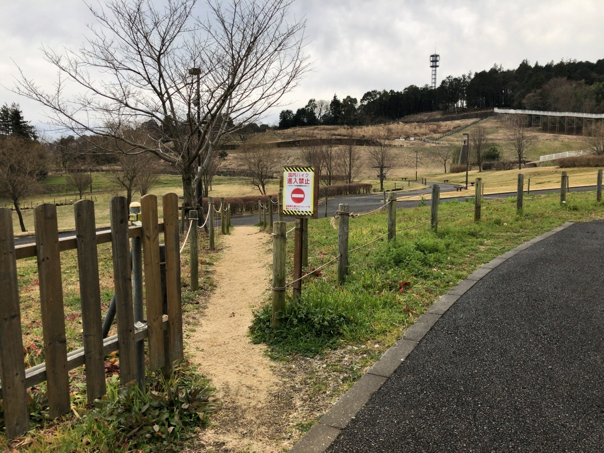 f:id:shigeo-t:20200215150621j:plain f:id:shigeo-t:20200215150621j:plain