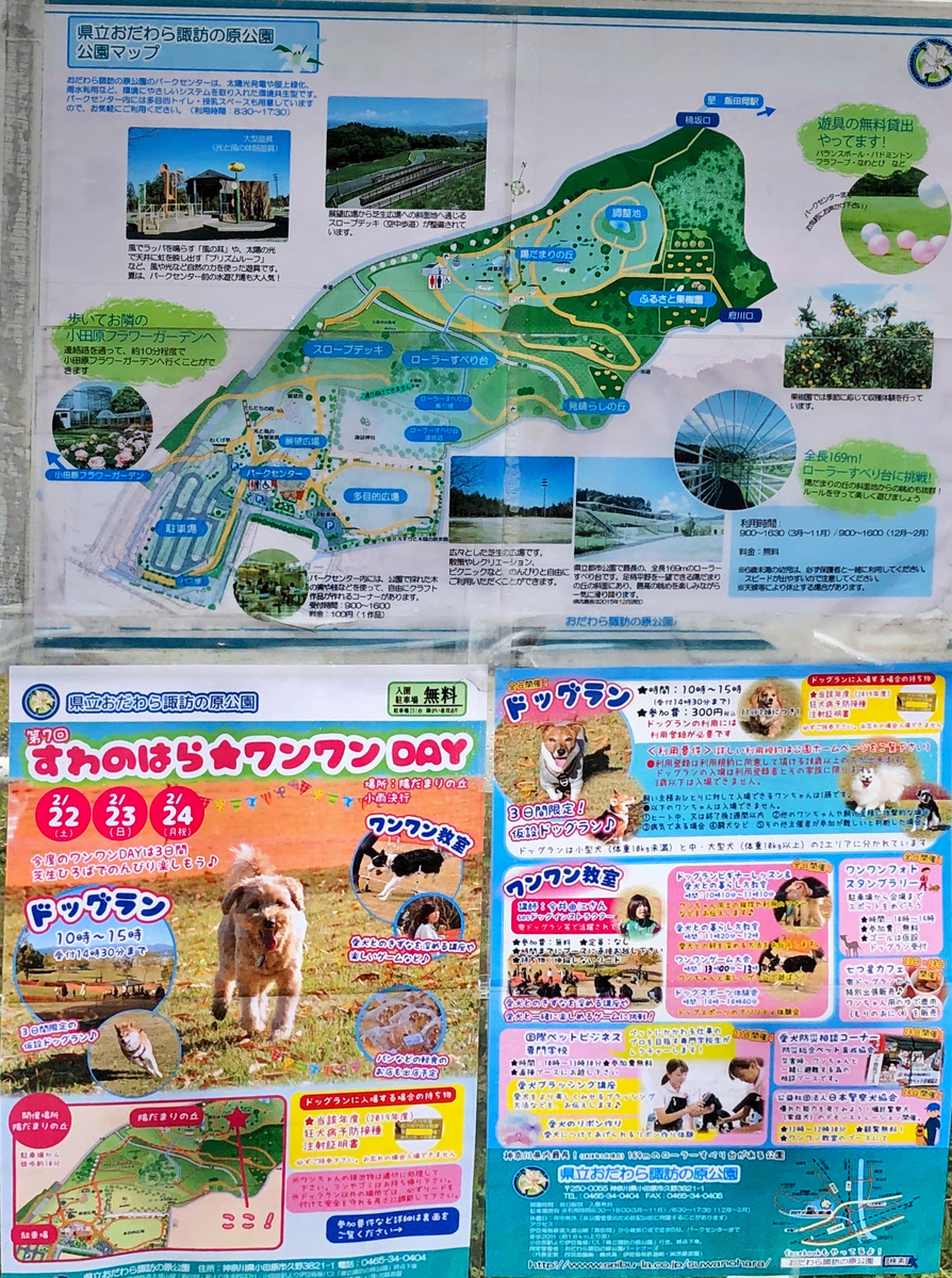 f:id:shigeo-t:20200215150708j:plain f:id:shigeo-t:20200215150708j:plain