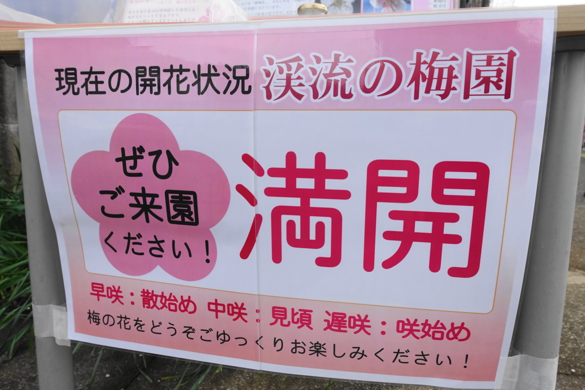 f:id:shigeo-t:20200216101433j:plain f:id:shigeo-t:20200216101433j:plain