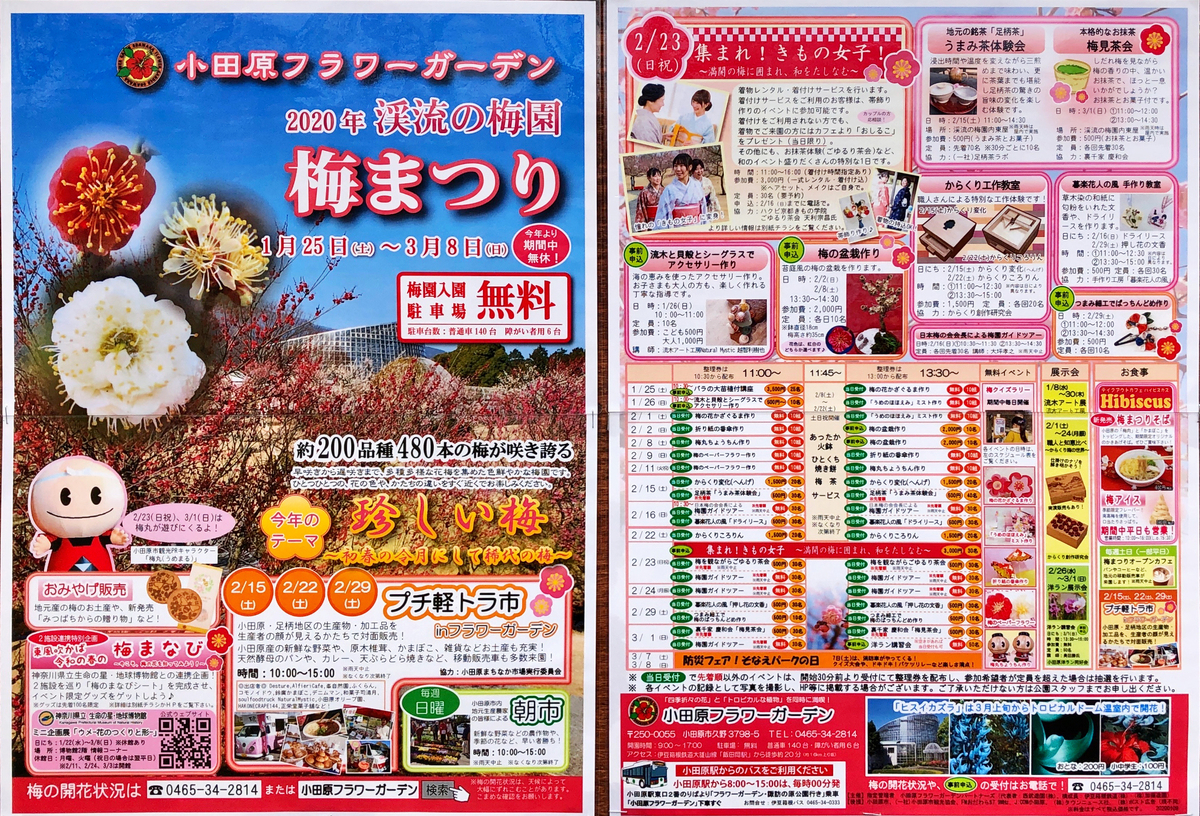 f:id:shigeo-t:20200217040048j:plain f:id:shigeo-t:20200217040048j:plain