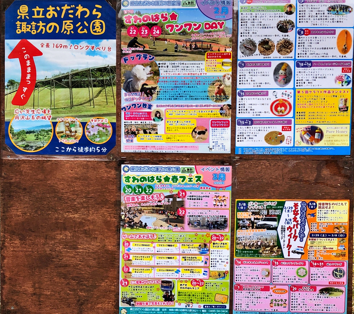 f:id:shigeo-t:20200217040104j:plain f:id:shigeo-t:20200217040104j:plain