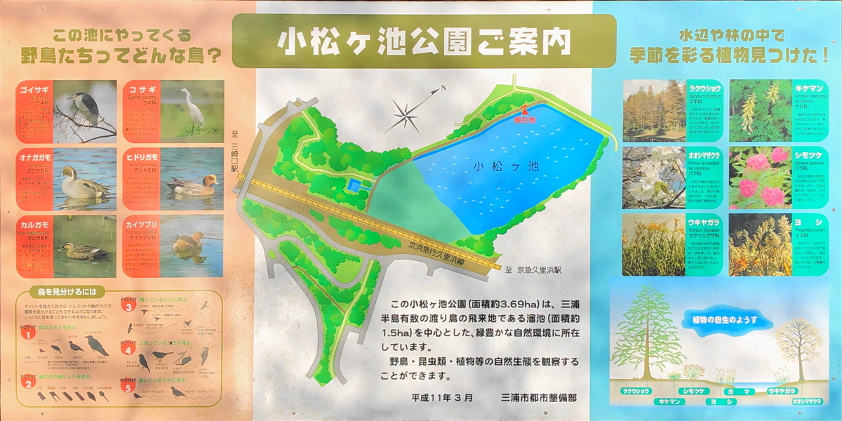 f:id:shigeo-t:20200223112222j:plain f:id:shigeo-t:20200223112222j:plain