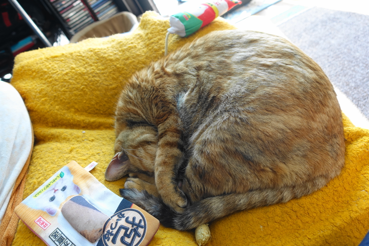 f:id:shigeo-t:20200224091923j:plain