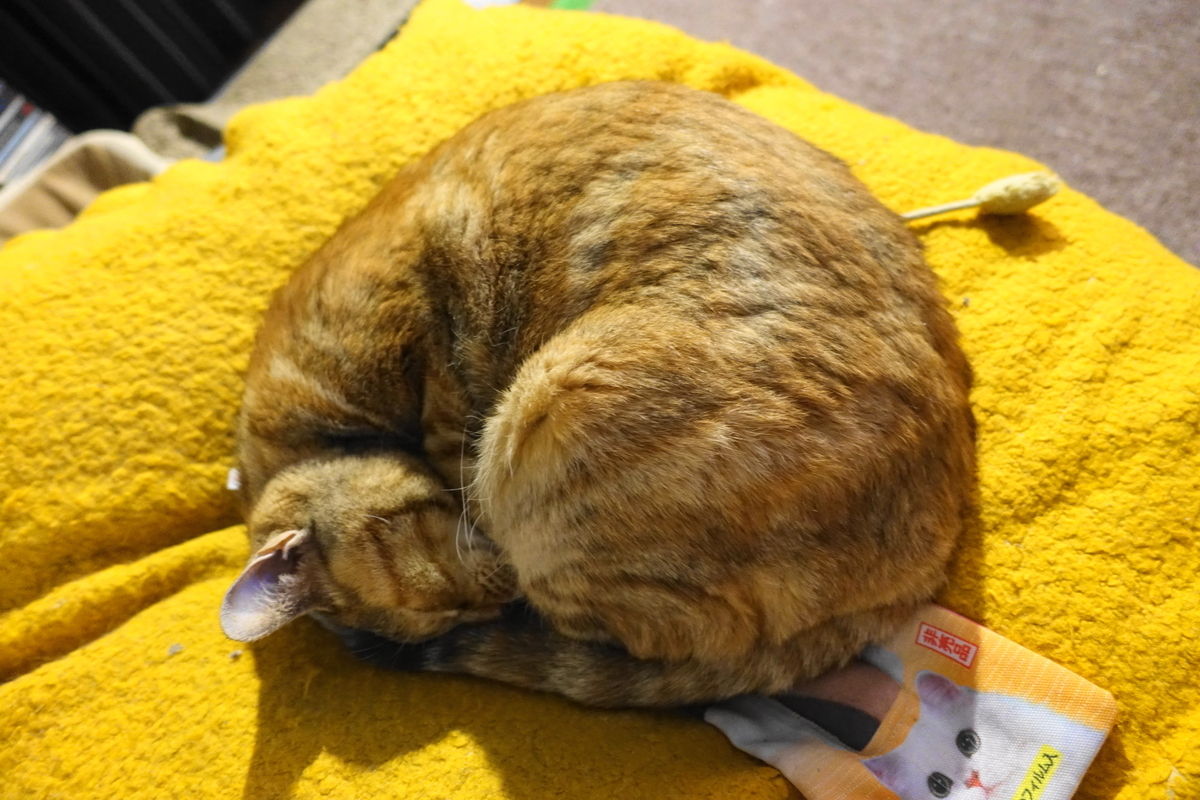 f:id:shigeo-t:20200224092011j:plain