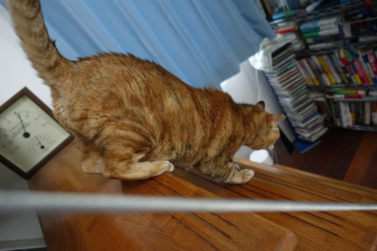 f:id:shigeo-t:20200411102654j:plain