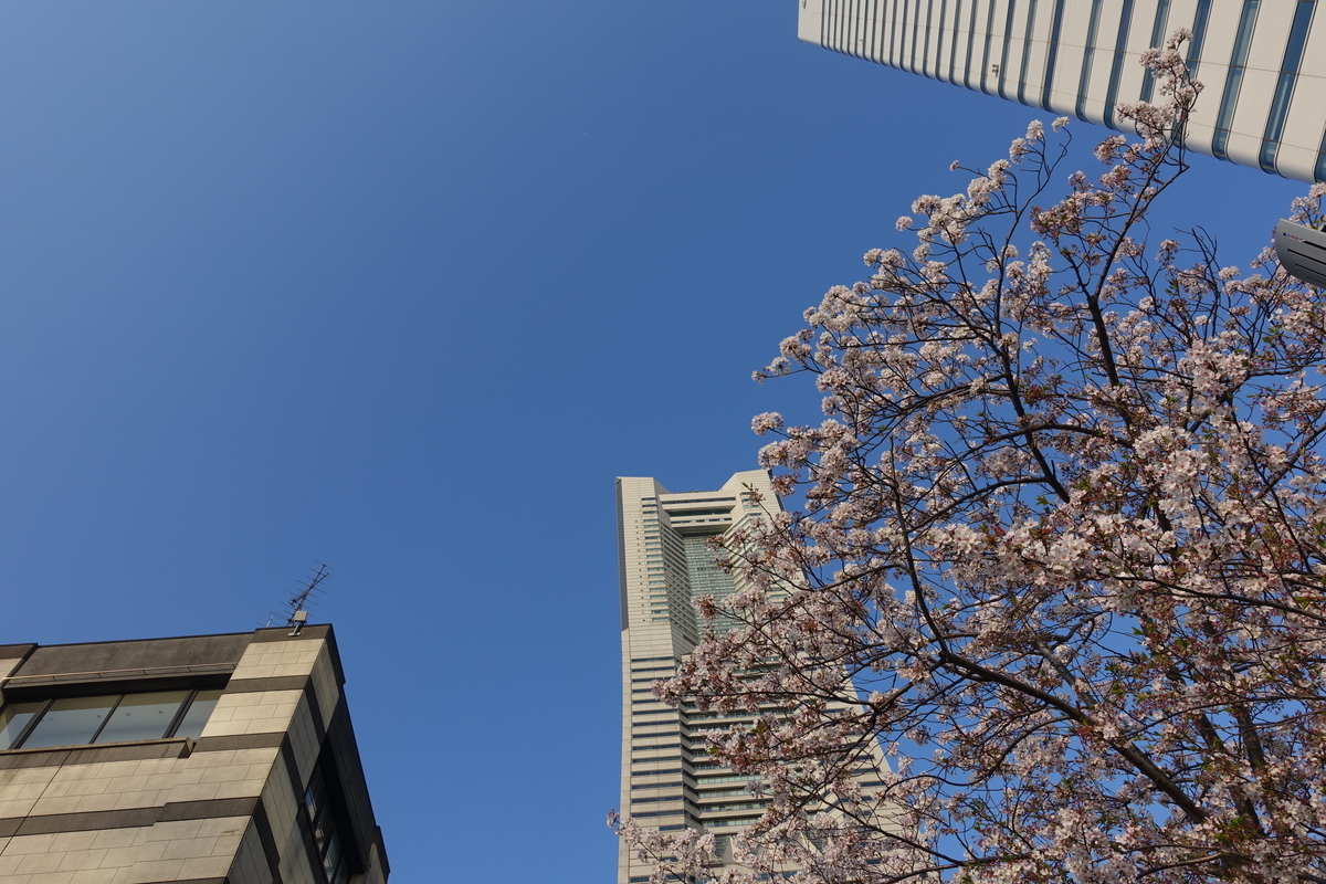 f:id:shigeo-t:20200411103415j:plain