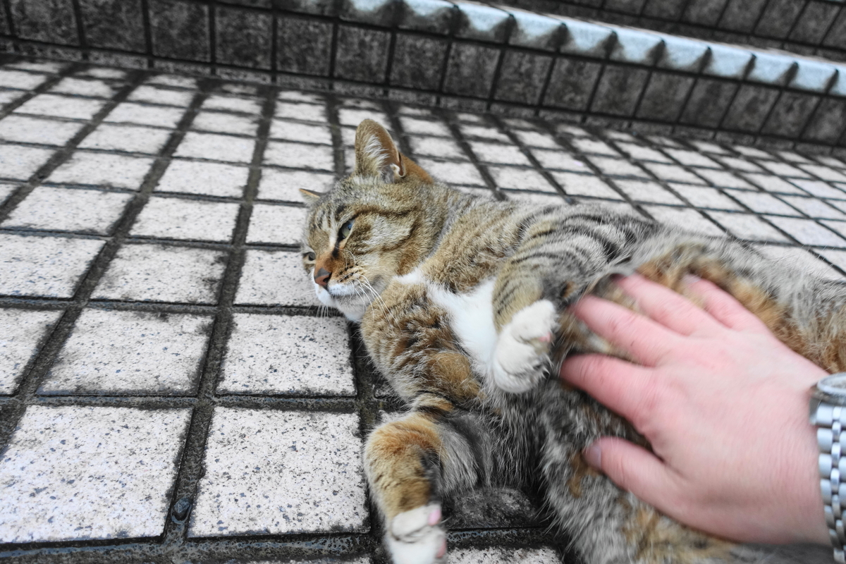 f:id:shigeo-t:20200419101036j:plain