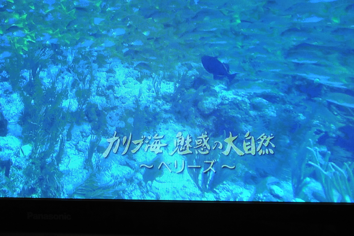 f:id:shigeo-t:20200422100830j:plain