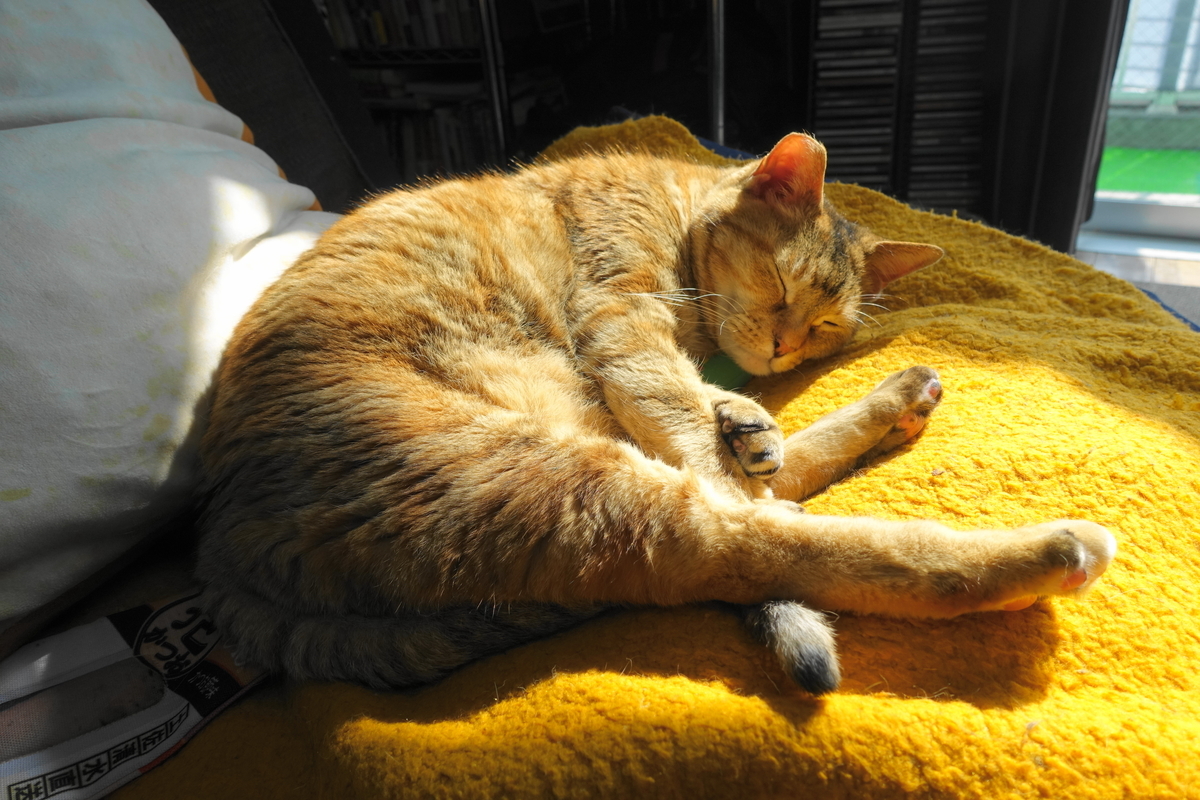 f:id:shigeo-t:20200422100913j:plain