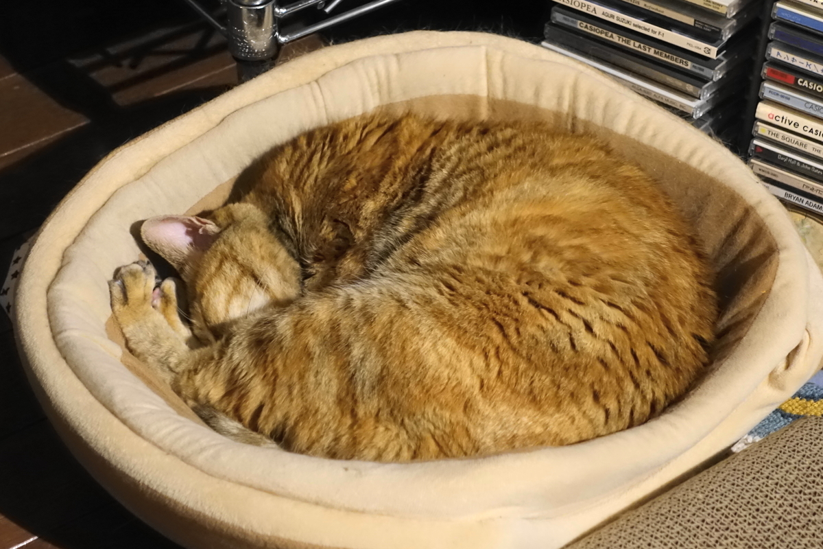 f:id:shigeo-t:20200422100935j:plain