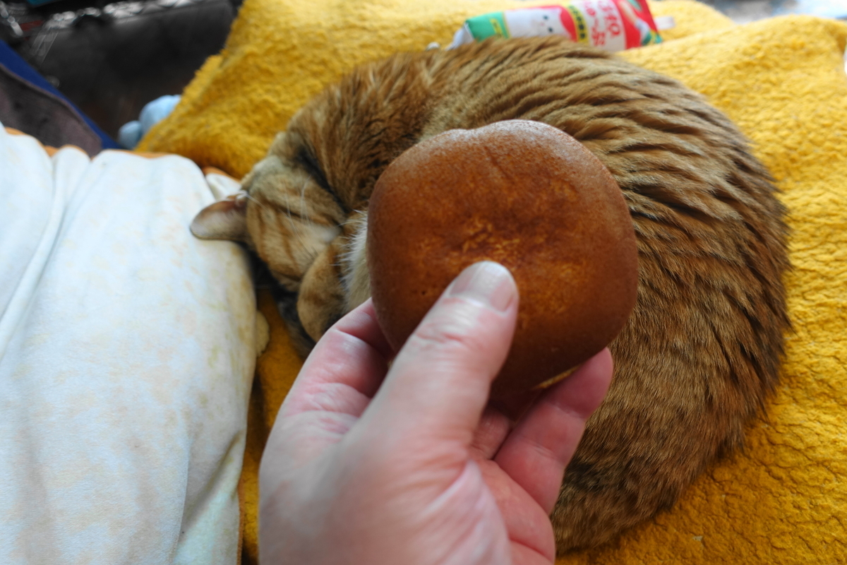 f:id:shigeo-t:20200422101048j:plain