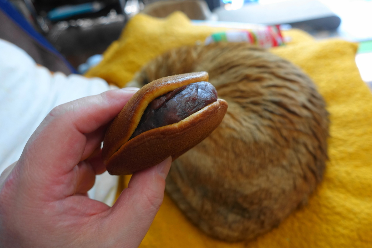 f:id:shigeo-t:20200422101110j:plain