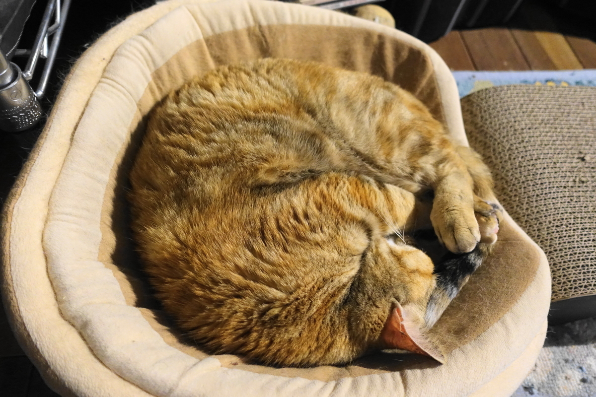 f:id:shigeo-t:20200422101200j:plain