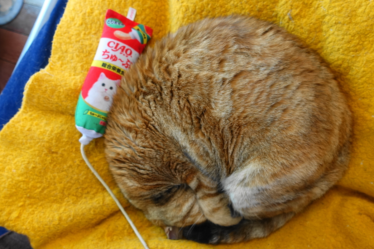 f:id:shigeo-t:20200422101413j:plain