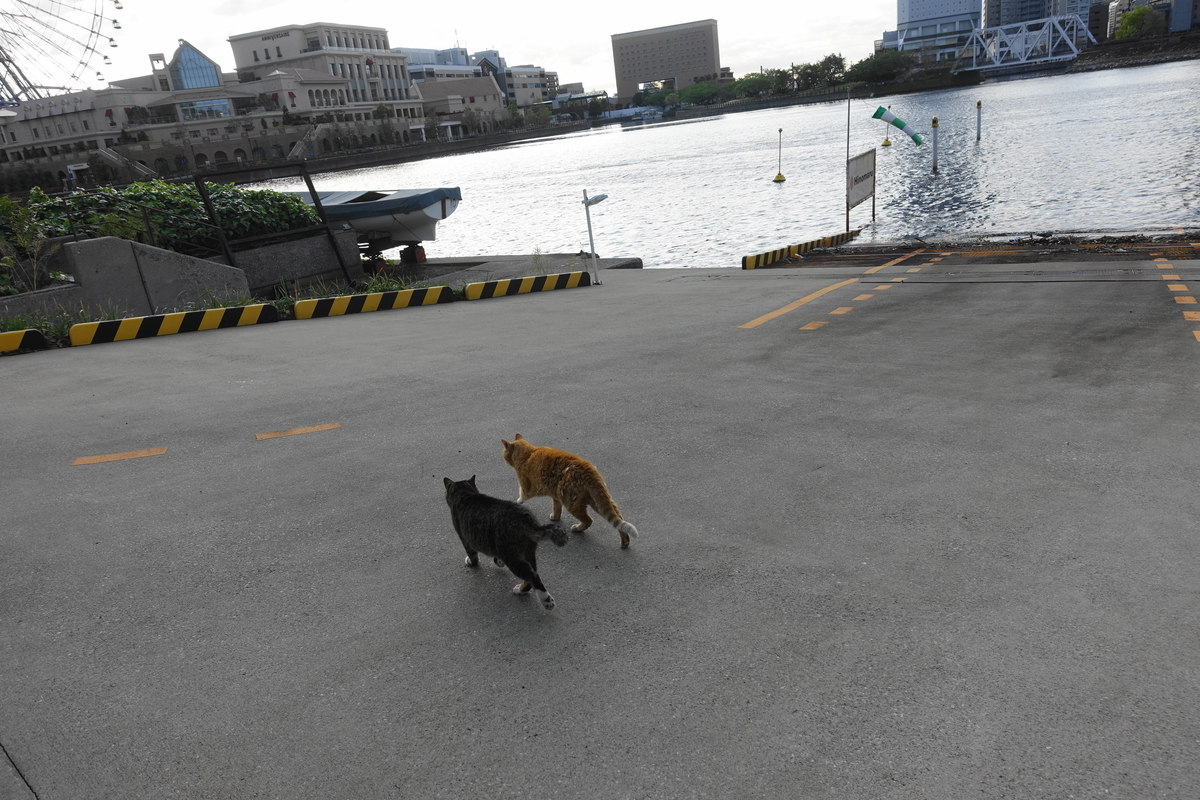 f:id:shigeo-t:20200428095056j:plain