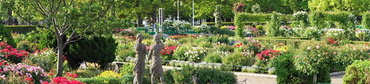 f:id:shigeo-t:20200509105950j:plain